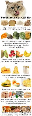 It is because cats are actually lactose intolerant and can have diarrhea from eating any dairy product. Tasomax Safe Healthy People Foods Your Cat Can Eat I M Glad To Know Cheese Is Included Since Sassy Eats It Foods Cats Can Eat Homemade Cat Food Food Animals