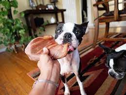Are Pig Ears Safe For Dogs Maggielovesorbit Com