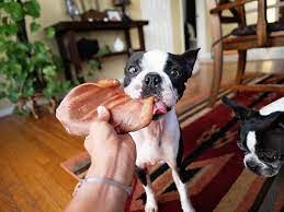 This is because the high fat content may lead to gastrointestinal upsets. Are Pig Ears Safe For Dogs Maggielovesorbit Com