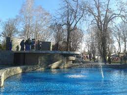 Maybe you would like to learn more about one of these? Pin En Pinera Por Coihueco