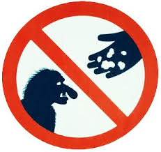 images?q=tbn:ANd9GcRG7mCphYAa8Kv2LicBIkORbJTElbPvxcpIXcxNRXzx_w1YlcxUZQ