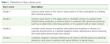 Image result for STONE Score