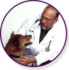 I will be coming back for sure! Pet Vet Animal Hospitals Veterinarian In Houston Friendswood Animal Hospital
