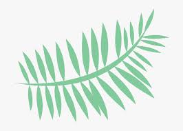 Leaf Tropical Summer Palm Palmleaf Cartoon Freetoedit Hd Png Download Transparent Png Image Pngitem Leaf plant botanical garden floral foliage. leaf tropical summer palm palmleaf
