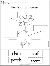 Pin On Preschool Ideas