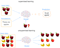What is supervised machine learning and how does it relate to unsupervised machine learning? Supervised Learning And Unsupervised Learning Supervised Learning Uses Download Scientific Diagram