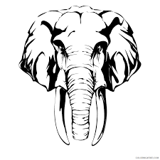 A baby elephant is called a calf. Elephant Head Coloring Pages Elephant Head Drawing Best Printable Coloring4free Coloring4free Com