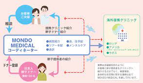 卵子提供・代理出産エージェントのモンドメディカル（MONDO MEDICAL）