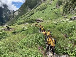 Maybe you would like to learn more about one of these? The Best Time To Trek To Valley Of Flowers A Monthwise Guide