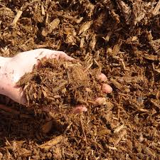 And best of all, it greatly increases germination speeds. Shredded Cedar Mulch Cedar Mulch In Ottawa Coloured Cedar Mulch