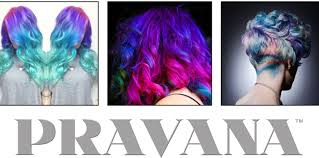 Image result for pravana vivids