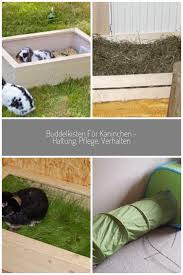 Afbeeldingsresultaat Voor Buddelkiste Fur Kaninchen Buddelkiste Kaninchen Kaninchen Und Frau