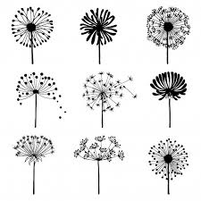 Pin On Drawing