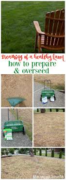 The most important step in overseeding is preparing the seed bed with an existing turf already in place. How To Prepare And Overseed Your Lawn The Happy Housie