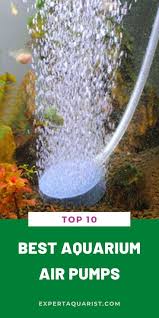 Best Aquarium Air Pumps In 2020 Reviews Buyer S Guide In 2020 Aquarium Air Pump Air Pump Aquarium