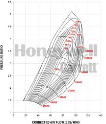 How To Choose The Right Turbo Snail Selection Science