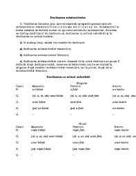 Articolul hotarat (suport audio inclus) der bestimmte artikel declinarile articolului: Doc Declinarea Andreea Virsog Academia Edu