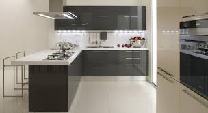 Superb Cuisine Noir Brillant 17 Choix Peintures Salon Cuisine Help Me Cozinhas Modernas Cozinhas