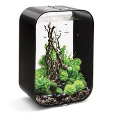 5.0 out of 5 stars 5 ratings. Fish Tank Starter Kits Walmart Com