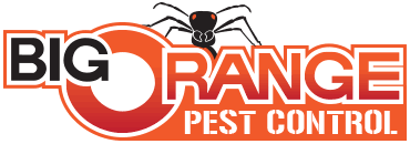Looking for pest control in knoxville? Home Maryville Termite Control Pest Control And Exterminator