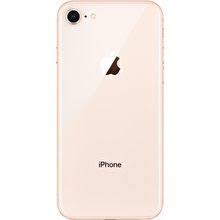Nonostante le apparenze che lo rendono molto simile al modello precedente 7 plus, l'iphone 8 plus presenta alcune. Apple Iphone 8 256gb Gold Price Specs In Malaysia Harga April 2021