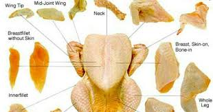 Potongan Potongan Ayam