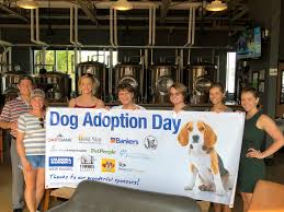 These puppies are current on all shots and are ready for a new home and very playful Dog Adoption Day Unites Local Businesses To Help Shelter Pups Mlive Com