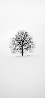 We handpicked 200 of the best iphone wallpapers, free to download! Best White Iphone 11 Wallpapers Hd 2020 Ilikewallpaper