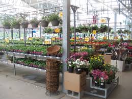We did not find results for: Beautify Your Garden For Less At Fred Meyer 25 Gift Card Giveaway The Coupon Project