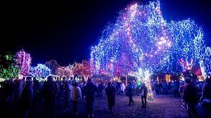 Christmas Connection 2022 Lewiston Idaho Lights Help Lift Holiday Spirits | Northwest | Lmtribune.com