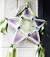 Party Star Decoration Ideas