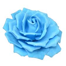 Oasis large jumbo ideal wet brick ideal for large floral displays no need for taping and wiring cut and shape to your required size wet. Light Blue Foam Flowers Rental Step And Repeat La