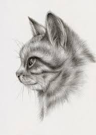 Hundreds of drawings illustrate both the underlying structure and the exterior of the face, torso, arms, legs, hands, and feet in a wide range of poses, complete with proper scientific terminology. Cute Hyper Realistic Cute Cat Drawing Realistic Novocom Top