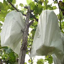Pest exclusion not only prevents pests from entering a building but can also prevent interior pest movement. Petsdelite 20x28cm 50pcs Pollen Pest Exclusion Fruit Protection Insect Bags Amazon In Home Kitchen