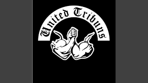 The united tribuns started operations in majorca in early 2018. United Tribuns Svabo Shazam