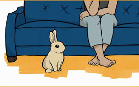 Rabbits can be as loyal as dogs if they are treated well. 15 Ways To Bond With Your Pet Rabbit