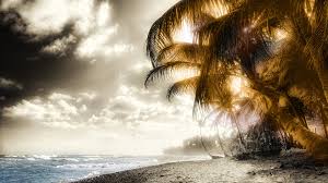 Find your next background that inspires and excites. Scenic Wallpapers 1920x1080 Full Hd 1080p Desktop Backgrounds