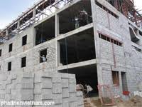 CÔNG TY PHÁT TRIỂN VIỆT NAM