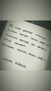 Gormeden Tanimadan Sesine Asik Olmak Delilik Ilham Verici Sozler Ilham Verici Alintilar Motive Edici Alintilar