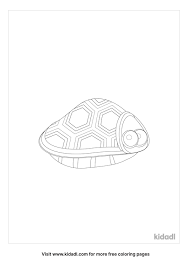 Set off fireworks to wish amer. Turtle Shell Coloring Pages Free Animals Coloring Pages Kidadl