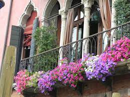 We did not find results for: Venice Flower Box Flower Boxes Balcony Garden Flowers