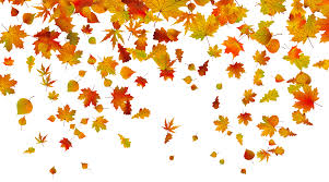 Transparent background autumn leaves clip art. November Clipart Transparent Background