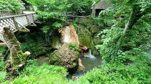 Claudia pătrășcanu vorbește despre cea mai mare dorință a sa. Bi3u4hmjt Cfcm