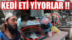 Kedi Eti Yiyorlar Ikiz Kuleleri Ziyaret Ettim Malezya 123 Youtube