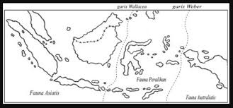 Mereka termasuk hewan endemik pulau kalimantan dan pulau sumatera, dan 10% populasi tersebar di wilayah sabah dan. Peta Persebaran Flora Dan Fauna Di Indonesia Jenis Gambar