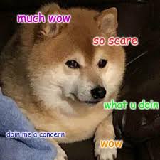 Your one stop shop for doggos about to pop。 Doge The Dog On Twitter Wow Fat Doge U Sweetsupreme Https T Co 6nzg2pxaeh Doggo Doge