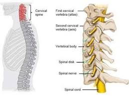 We did not find results for: Understanding Chronic Headaches And Fighting The Pain