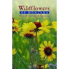 Whether it is a get well flower gift basket, mother's day flowers, seasonal centerpiece for the holidays or something that says i love you lopez the florist is the leading florist in dorchester, ma and will. Wildflowers Of Montana By Donald Anthony Schiemann Paperback Target