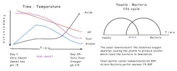 time and temperature