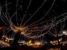 The 25th Annual Nights Of Lights Dazzles The City As Some Three Million Lights Adorn Every Corner Of Th Holiday Lights Display Holiday Lights Seasonal Displays